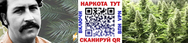 Где найти наркотики Качканар Канабис  Альфа ПВП  Гашиш 
