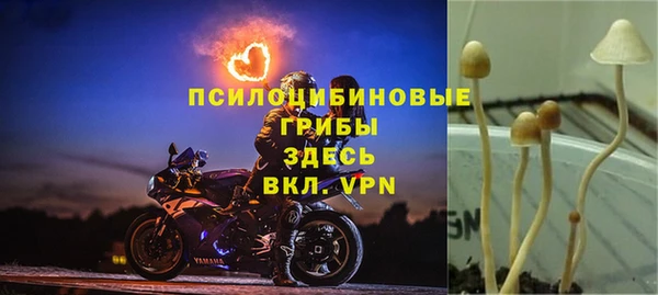 прущий лед Бугульма
