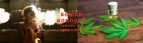 прущая мука Бородино