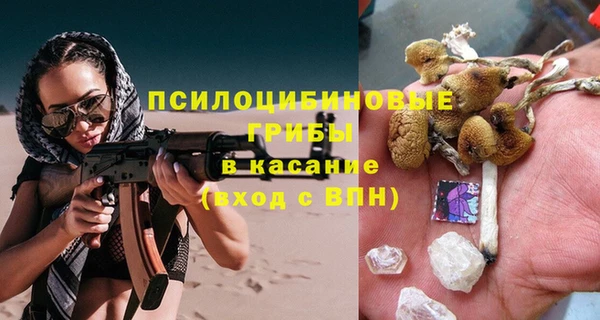 прущая мука Бородино