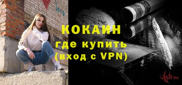 прущий лед Богданович