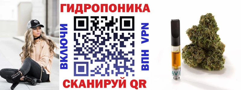 кракен как войти  Качканар  Марихуана семена  дарнет шоп 